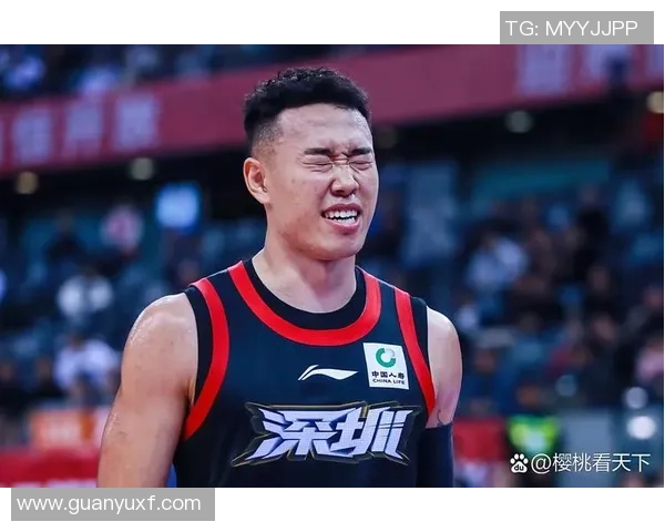 贺希宁：从篮球新星到职业生涯的辉煌之路探秘